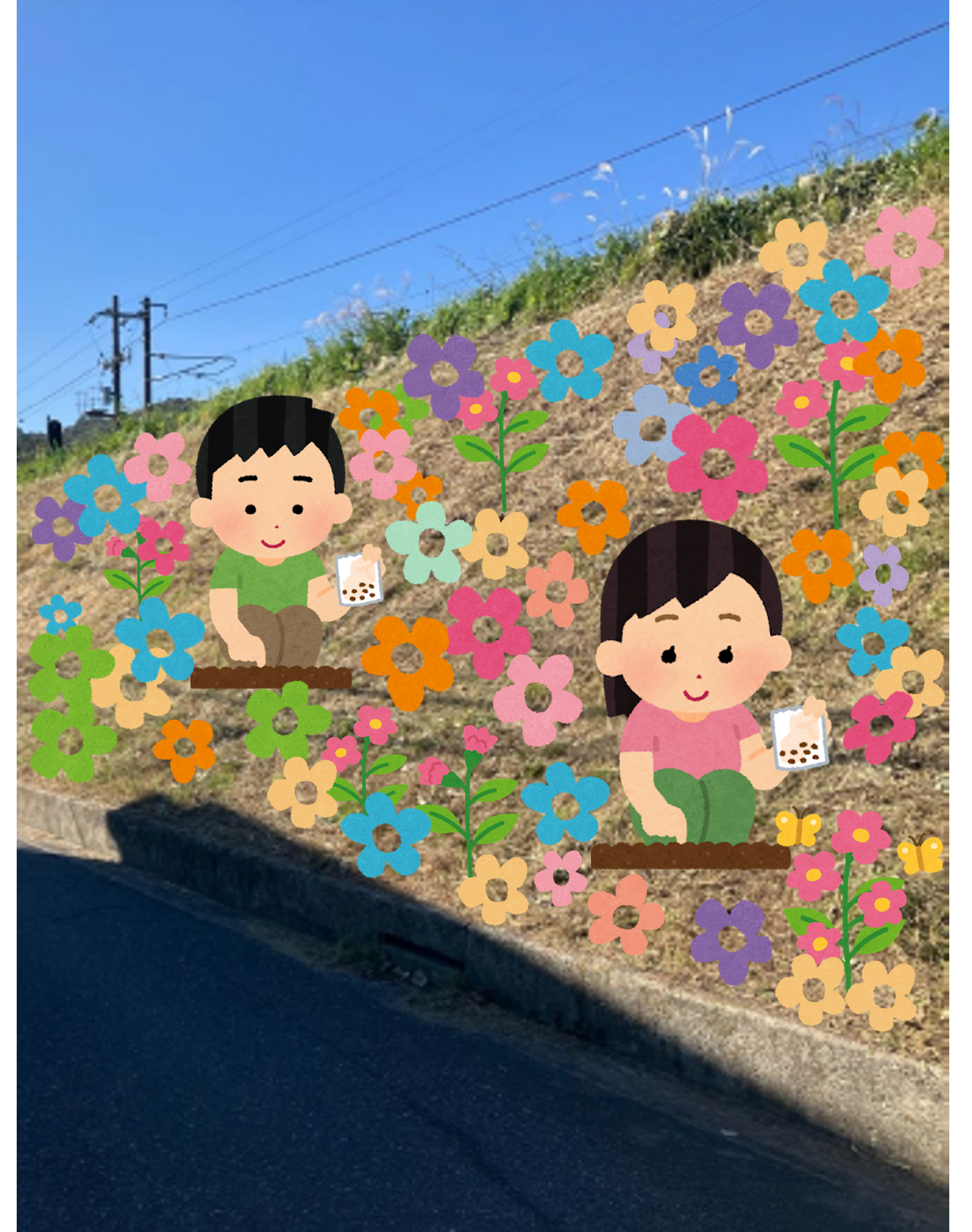 国有地を花畑として活用しているイメージ写真