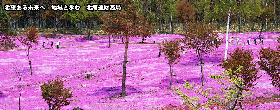芝桜の写真です。希望ある未来へ地域と歩む北海道財務局