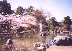 白山公園（新潟市）の庭園の様子