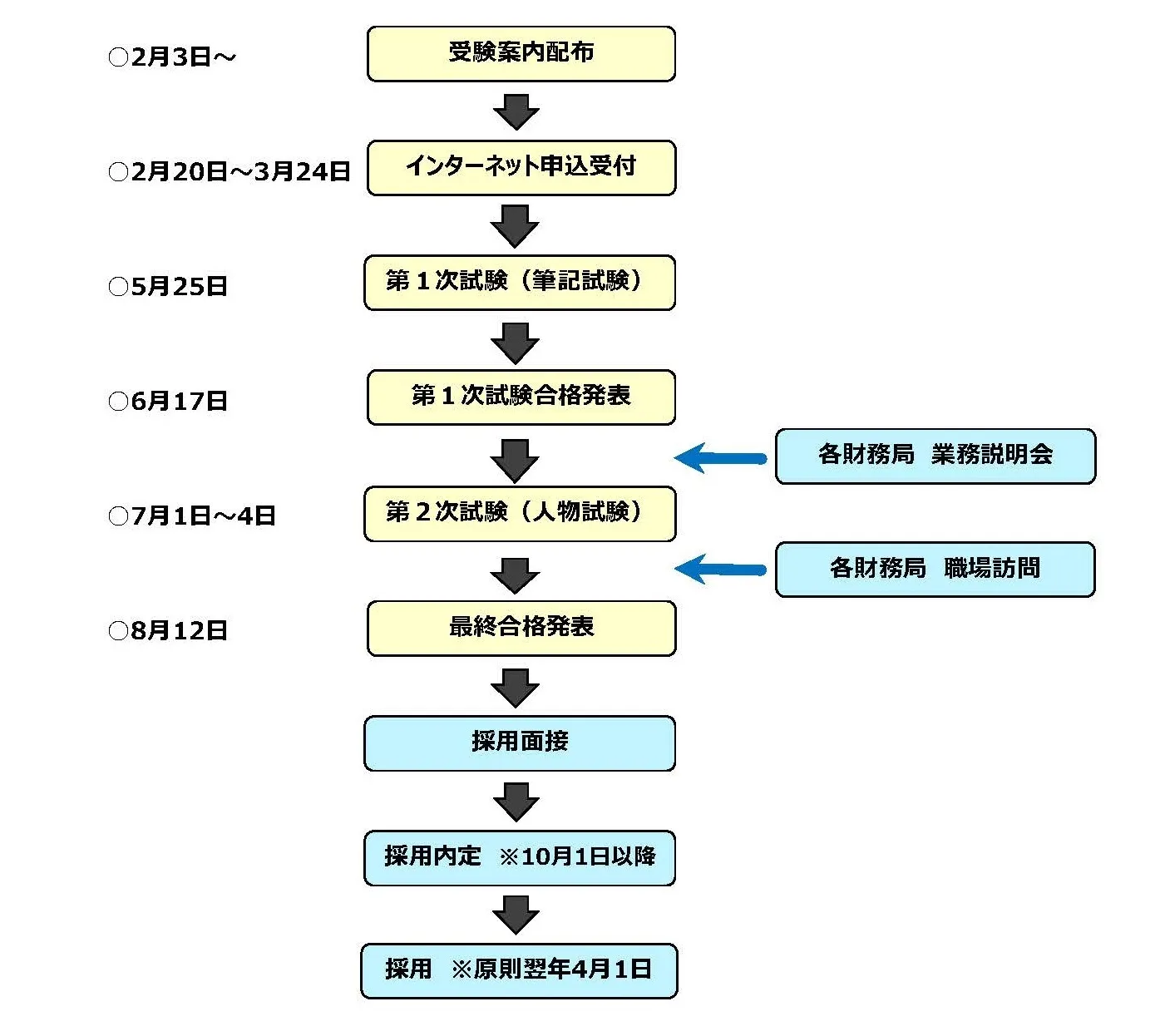 2025年度財務専門官採用試験 採用までの流れフロー図