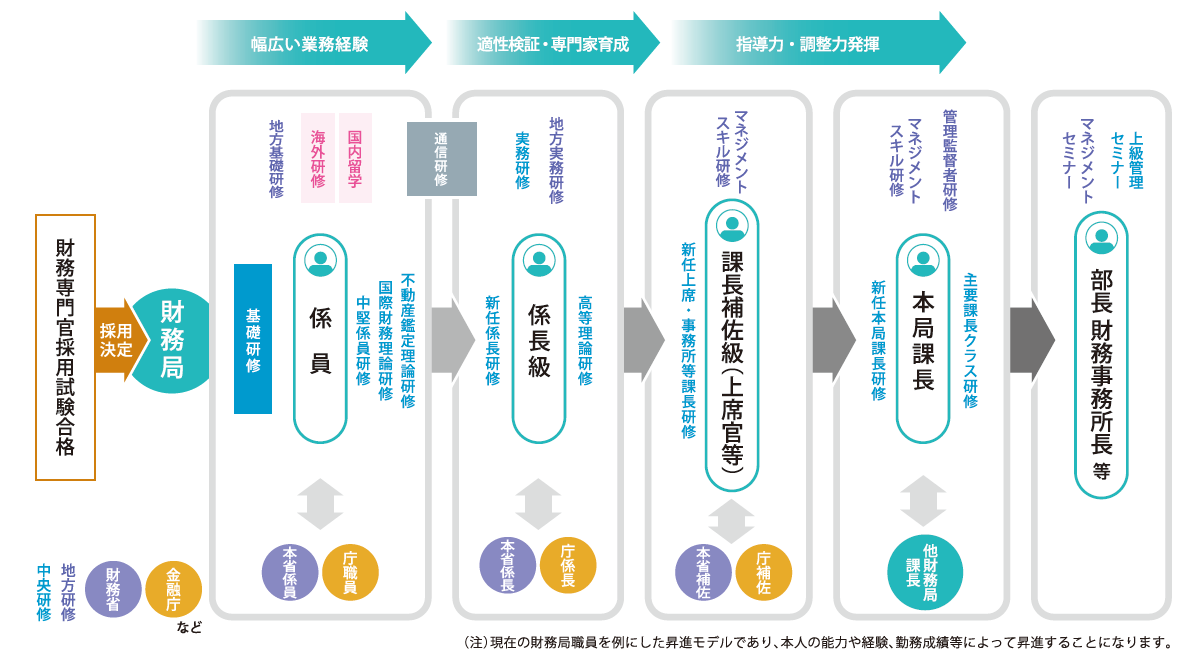 係員で幅広い業務を経験し、係長級で適正検証・専門家育成した後、課長補佐級・本局課長・部長・財務事務所長等で指導力・調整力を発揮するというキャリアパス