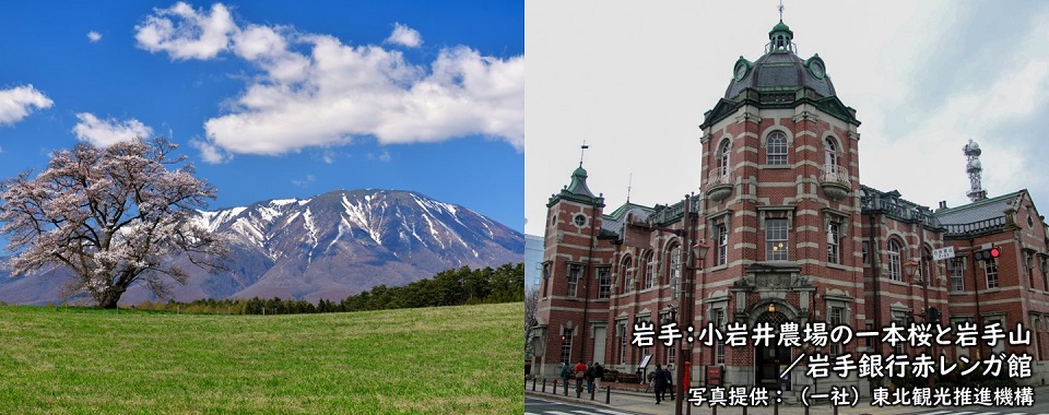 岩手：小岩井農場の一本桜と岩出山／岩手銀行赤レンガ館