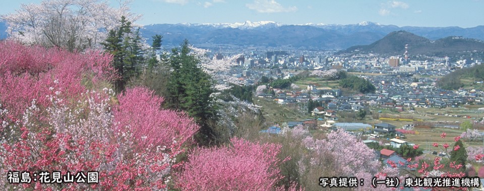 福島：花見山公園
