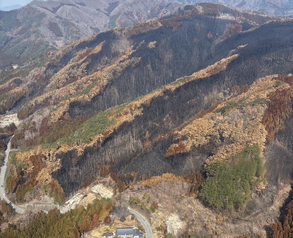 岩手県大船渡市三陸町綾里地区の林野火災後の様子