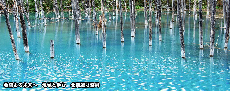 青い池の写真です。希望ある未来へ地域と歩む北海道財務局