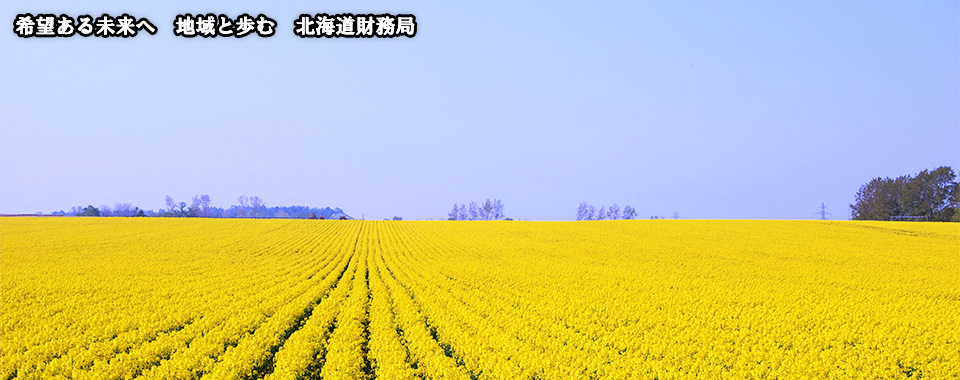 菜の花畑の写真です。希望ある未来へ地域と歩む北海道財務局