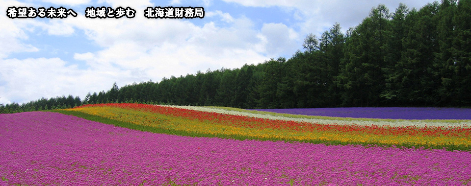 農場の花畑の写真です。希望ある未来へ地域と歩む北海道財務局